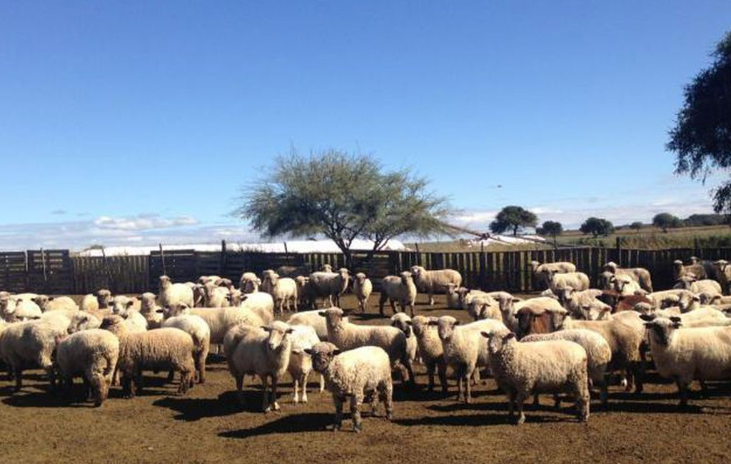 Foto web/ilustrativa